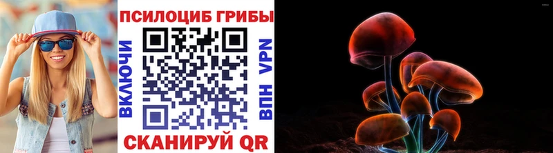 Галлюциногенные грибы Psilocybine cubensis  где купить наркотик  Удачный 